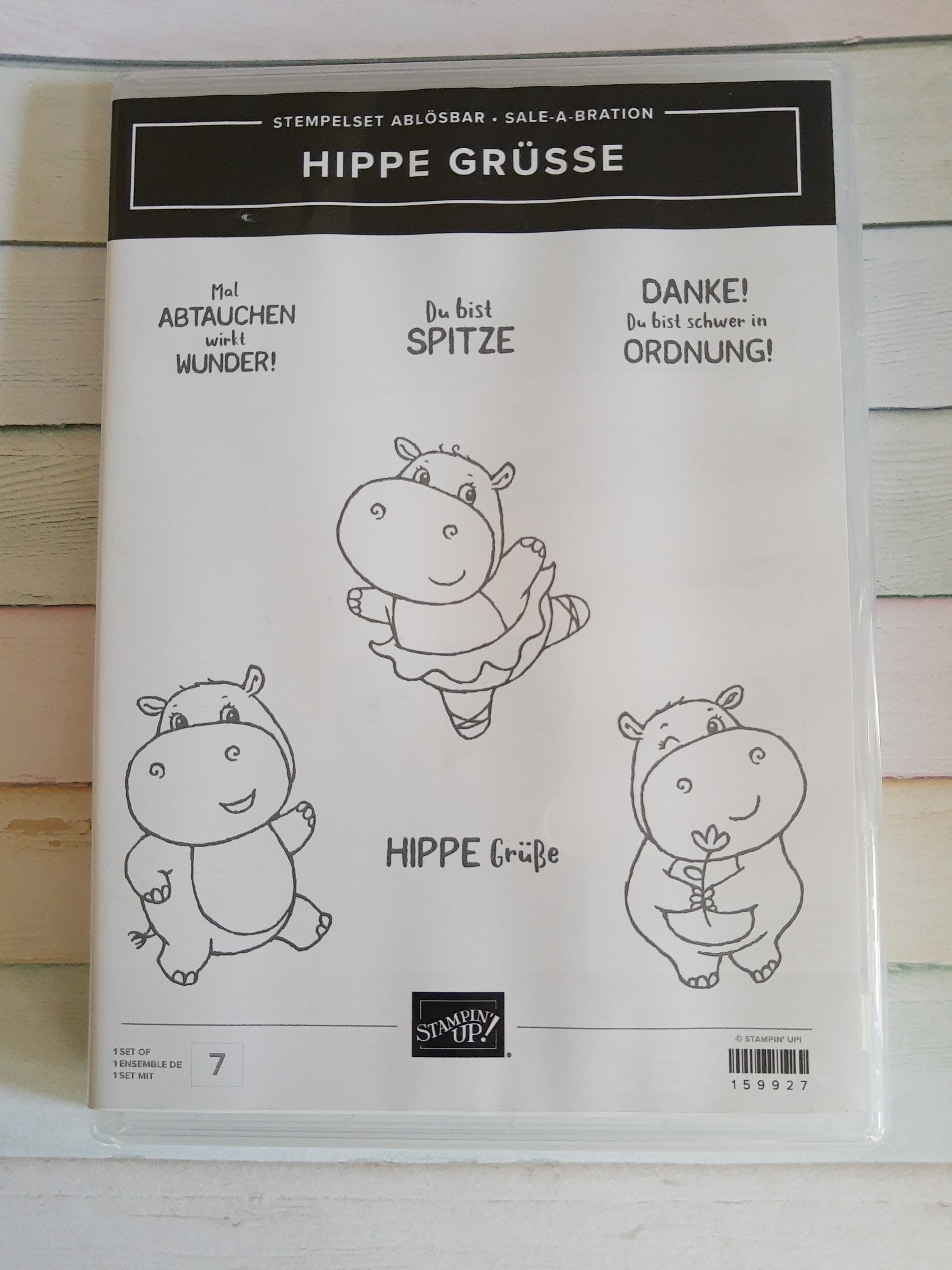 Produkt-Paket: Stempel "Hippe Grüße" + Stanzformen "Nilpferd"